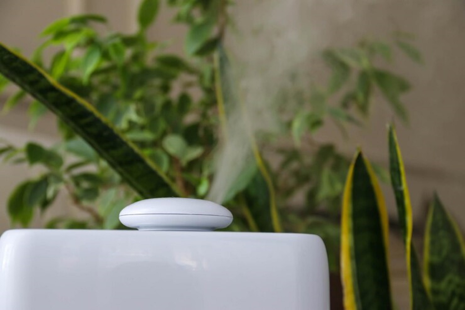 HVAC Blog | Perfect Climate Heating, Air & Plumbing humidifier