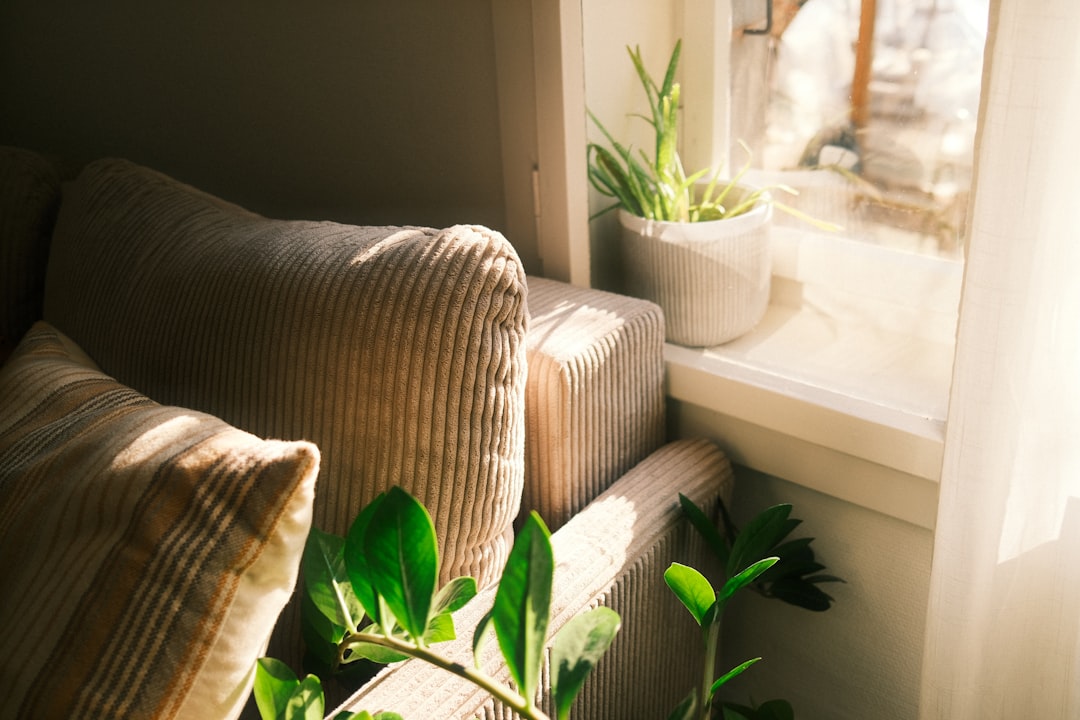 healthy home air princeton in
